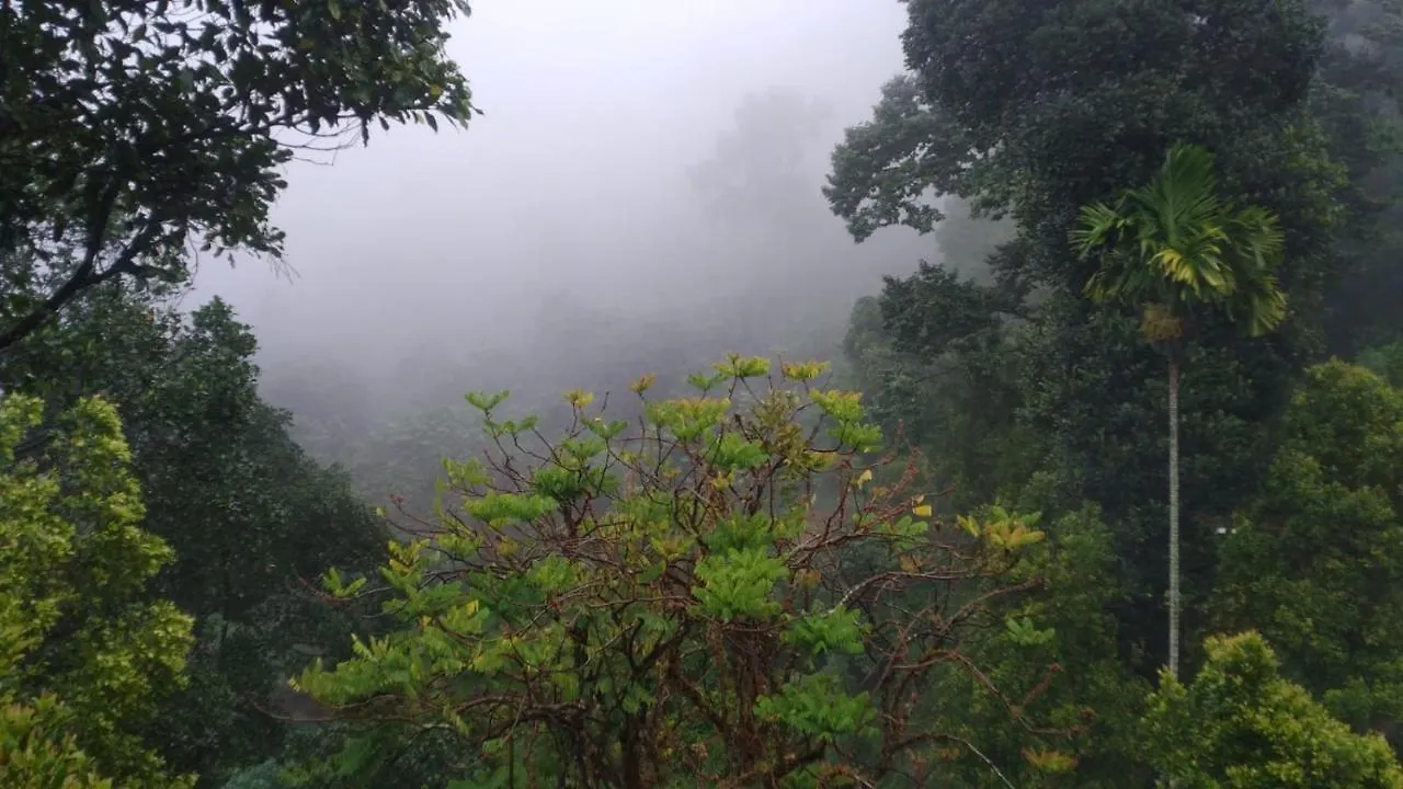 Hotel Brookside Nature Resort Wattegama