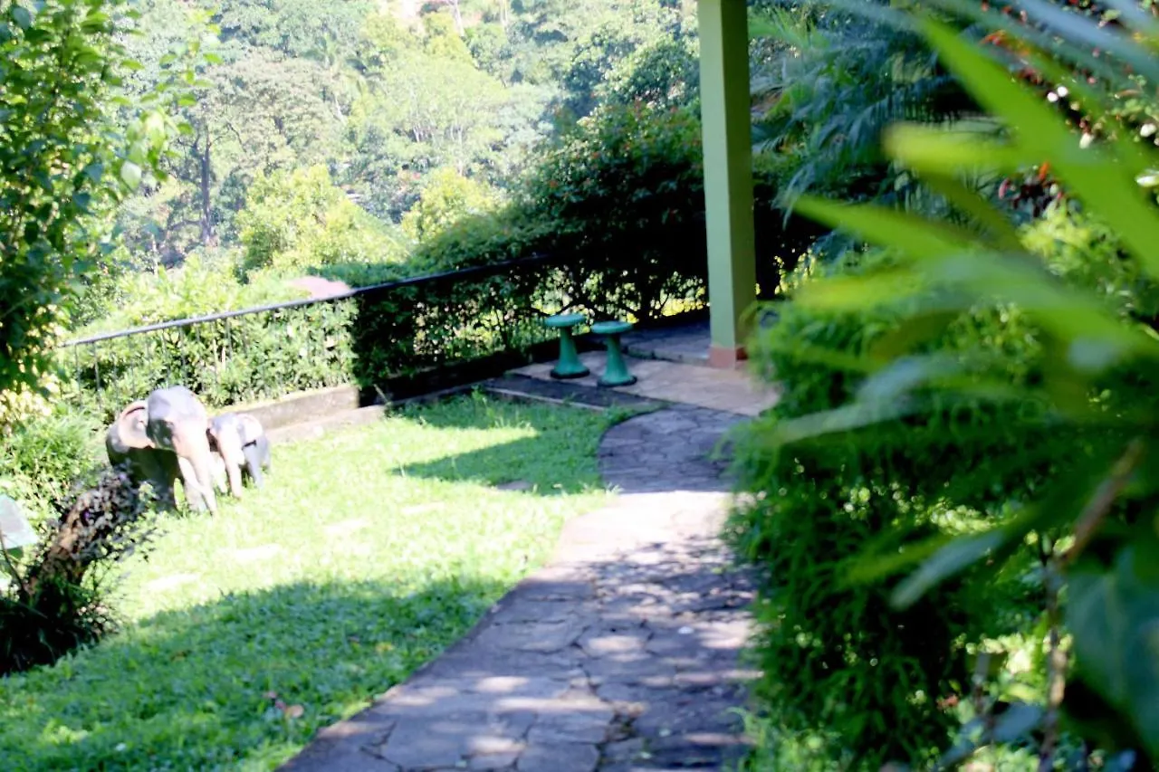 Brookside Nature Resort Wattegama 0*,